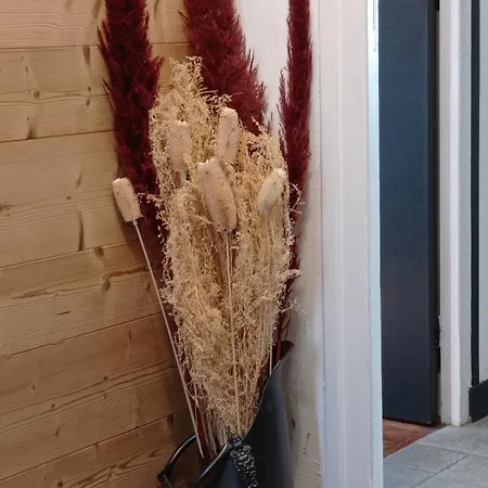 Chalet Sublime 14 Pers Extrieur